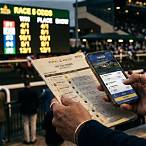 placing a horse racing bet
